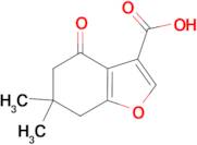 6,6-Dimethyl-4-oxo-4,5,6,7-tetrahydro-benzofuran-3-carboxylic acid