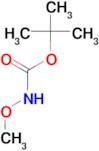 tert-butyl methoxycarbamate