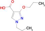 3-propoxy-1-propyl-1H-pyrazole-4-carboxylic acid