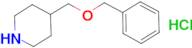 4-[(benzyloxy)methyl]piperidine hydrochloride