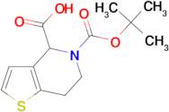 5-(tert-butoxycarbonyl)-4,5,6,7-tetrahydrothieno[3,2-c]pyridine-4-carboxylic acid