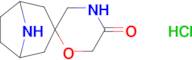 8-azaspiro[bicyclo[3.2.1]octane-3,2'-morpholin]-5'-one hydrochloride
