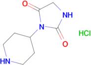 3-(piperidin-4-yl)imidazolidine-2,4-dione hydrochloride