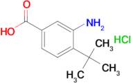 3-amino-4-(tert-butyl)benzoic acid hydrochloride