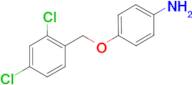 {4-[(2,4-Dichlorobenzyl)oxy]phenyl}amine