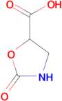 2-oxooxazolidine-5-carboxylic acid