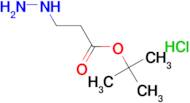 Tert-butyl 3-hydrazinylpropanoate hydrochloride