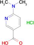 6-(dimethylamino)nicotinic acid hydrochloride