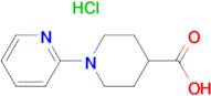 1-PYRIDIN-2-YL-PIPERIDINE-4-CARBOXYLIC ACID HCL