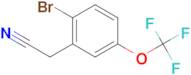 2-BROMO-5-(TRIFLUOROMETHOXY)PHENYLACETONITRILE