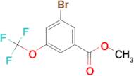 METHYL 3-BROMO-5-(TRIFLUOROMETHOXY)BENZOATE