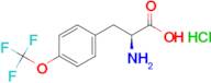 (S)-2-AMINO-3-(4-(TRIFLUOROMETHOXY)PHENYL)PROPANOIC ACID HCL