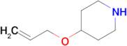 4-(ALLYLOXY)PIPERIDINE