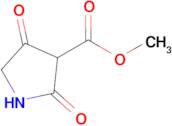 2,4-dioxo-3-Pyrrolidinecarboxylic acid Methyl ester