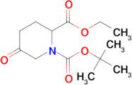 5-OXO-PIPERIDINE-1,2-DICARBOXYLIC ACID 1-TERT-BUTYL ESTER 2-ETHYL ESTER