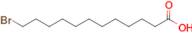 12-BROMODODECANOIC ACID