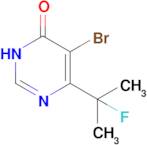 5-BROMO-6-(2-FLUOROPROPAN-2-YL)PYRIMIDIN-4(3H)-ONE