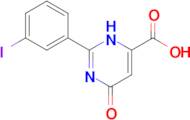 6-HYDROXY-2-(3-IODOPHENYL)PYRIMIDINE-4-CARBOXYLIC ACID