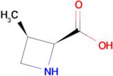 (2S,3R)-3-METHYL-2-AZETIDINECARBOXYLIC ACID