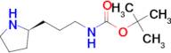 (R)-(3-Pyrrolidin-2-yl-propyl)-carbamic acid tert-butyl ester