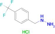 {[4-(TRIFLUOROMETHYL)PHENYL]METHYLHYDRAZINE HCL