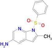 1-(BENZENESULFONYL)-2-METHYL-1H-PYRROLO[2,3-B]PYRIDIN-5-AMINE