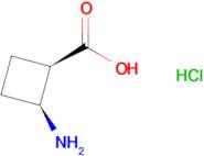 CIS-2-AMINOCYCLOBUTANE-1-CARBOXYLIC ACID HCL