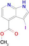 Methyl 3-iodo-1H-pyrrolo[2,3-b]pyridine-4-carboxylate