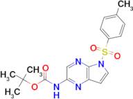 TERT-BUTYL N-[5-(4-METHYLBENZENESULFONYL)-5H-PYRROLO[2,3-B]PYRAZIN-2-YL]CARBAMATE