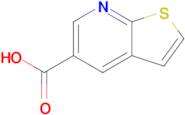 THIENO[2,3-B]PYRIDINE-5-CARBOXYLIC ACID