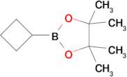 2-CYCLOBUTYL-4,4,5,5-TETRAMETHYL-1,3,2-DIOXABOROLANE