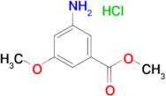 METHYL 3-AMINO-5-METHOXYBENZOATE HCL