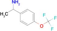 1-[4-(TRIFLUOROMETHOXY)PHENYL]ETHANAMINE