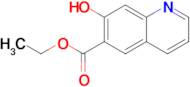 ETHYL 7-HYDROXYQUINOLINE-6-CARBOXYLATE