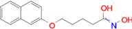 5-(NAPHTHALEN-2-YLOXY)-PENTANOIC ACID HYDROXYAMIDE