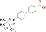 4'-BORONO-[1,1'-BIPHENYL]-4-CARBOXYLIC ACID PINACOL ESTER