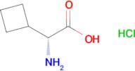 (R)-2-AMINO-2-CYCLOBUTYLACETIC ACID HYDROCHLORIDE