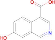7-HYDROXYISOQUINOLINE-4-CARBOXYLIC ACID