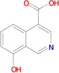8-HYDROXYISOQUINOLINE-4-CARBOXYLIC ACID