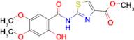 2-[(2-HYDROXY-4,5-DIMETHOXYBENZOYL)AMINO]-1,3-THIAZOLE-4-CARBOXYLIC ACID METHYL ESTER