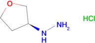 (S)-(TETRAHYDROFURAN-3-YL)HYDRAZINE HYDROCHLORIDE