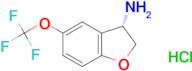 (3S)-5-(TRIFLUOROMETHOXY)-2,3-DIHYDROBENZO[B]FURAN-3-YLAMINE HYDROCHLORIDE