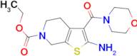 ethyl 2-amino-3-(morpholine-4-carbonyl)-4,7-dihydrothieno[2,3-c]pyridine-6(5H)-carboxylate