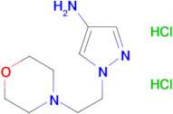 1-(2-morpholin-4-ylethyl)-1H-pyrazol-4-amine dihydrochloride