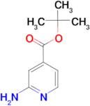 tert-butyl 2-aminoisonicotinate