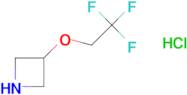 3-(2,2,2-trifluoroethoxy)azetidine hydrochloride