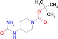 Tert-butyl 4-(carbamoylamino)piperidine-1-carboxylate