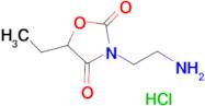 3-(2-Amino-ethyl)-5-ethyl-oxazolidine-2,4-dione;hydrochloride