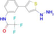 2,2,2-Trifluoro-N-[3-(5-hydrazino-thiophen-3-yl)-phenyl]-acetamide