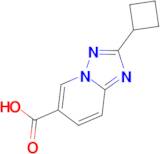 2-Cyclobutyl-[1,2,4]triazolo[1,5-a]pyridine-6-carboxylic acid